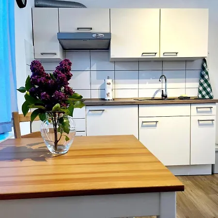 Апартаменты Schoenes 1-zimmer-appartement, Buesum